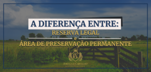 Leia mais sobre o artigo A DIFERENÇA ENTRE RESERVA LEGAL E ÁREA DE PRESERVAÇÃO PERMANENTE