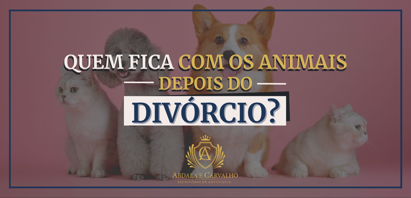 Leia mais sobre o artigo QUEM FICA COM OS ANIMAIS DEPOIS DO DIVÓRCIO?